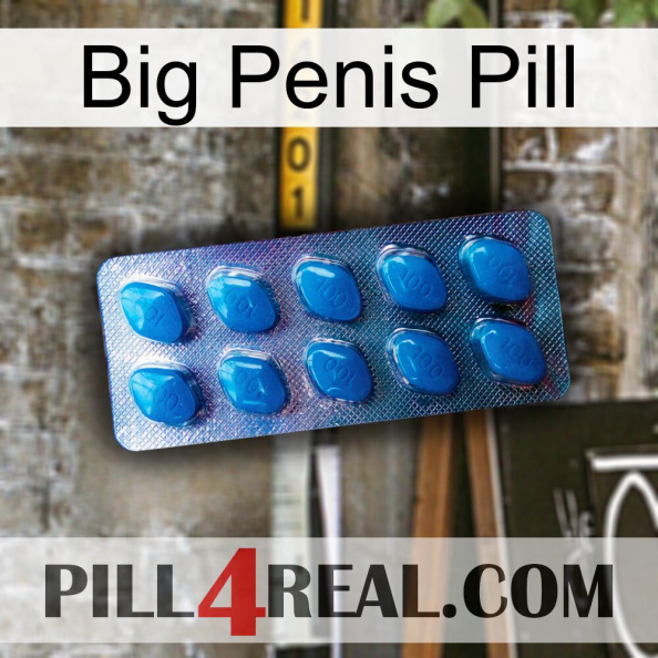 Big Penis Pill viagra1.jpg